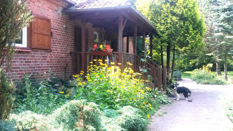 polajny pokoje do wynajecia pokoje do wynajecia polajny