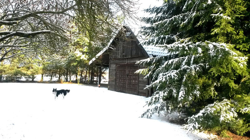polajny pokoje noclegi polajny pokoje do wynajecia