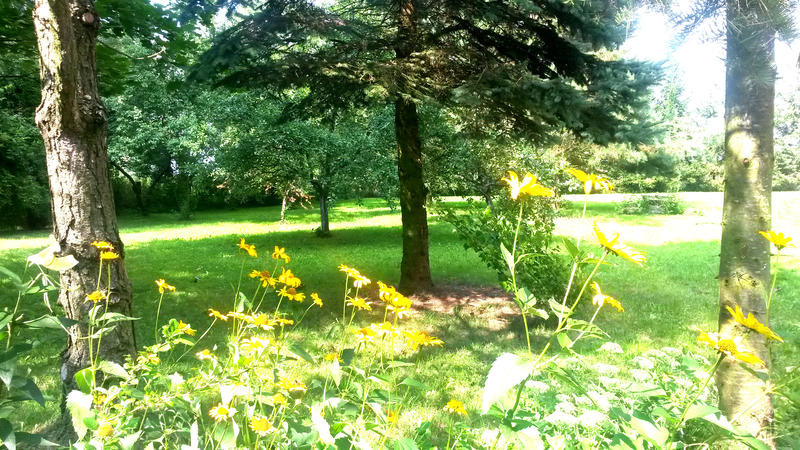 polajny pokoje noclegi polajny pokoje noclegi