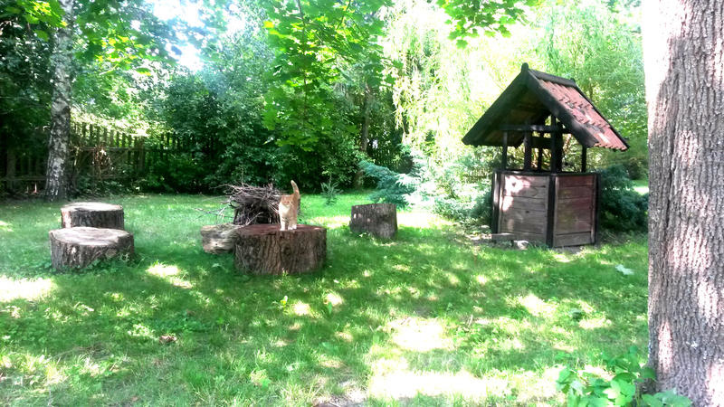 polajny pokoje noclegi polajny pokoje noclegi