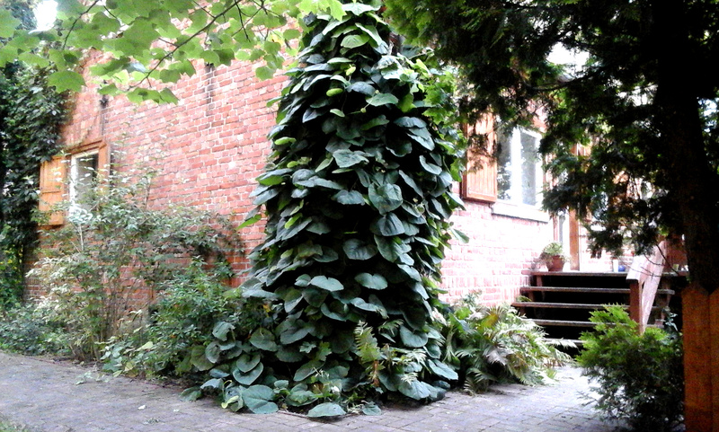 polajny pokoje noclegi polajny pokoje noclegi