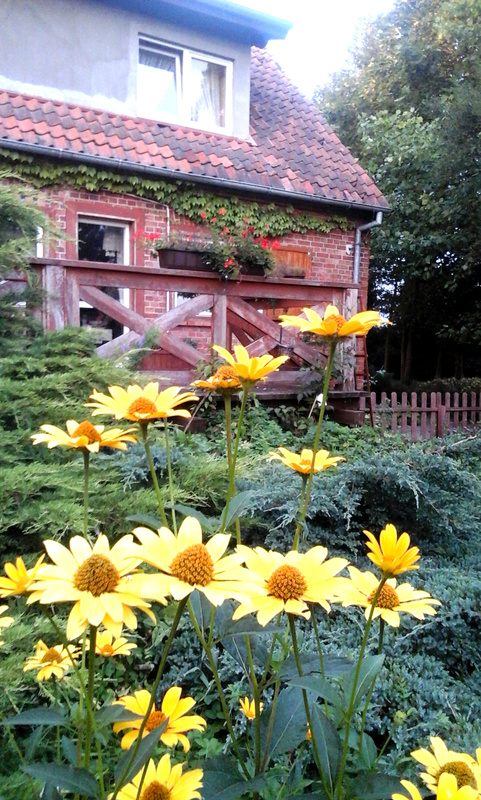 polajny pokoje noclegi polajny pokoje noclegi