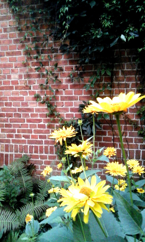 polajny pokoje noclegi polajny pokoje noclegi